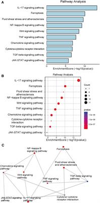 Research progress on and molecular mechanism of vacuum sealing drainage in the treatment of diabetic foot ulcers